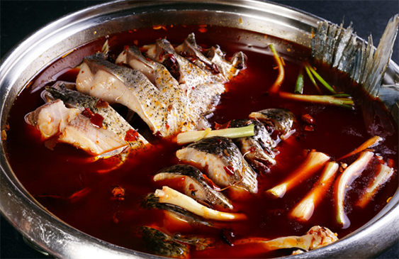 火鍋魚培訓(xùn) 火鍋魚培訓(xùn)
