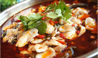 成都哪里有火鍋魚技術培訓班？